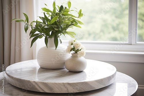 Marble Top Coffee Table Designs: Serene Plant Corner Bathed in Natural Light with Minimal Decor
