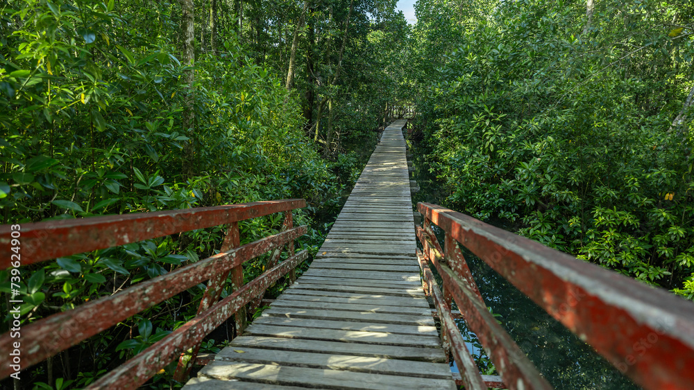 Small wooden bridge in the coastal mangrove forest. Small wooden bridge in the coastal mangrove forest.