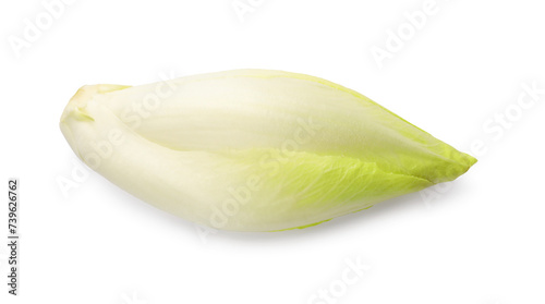 One raw ripe chicory isolated on white, top view