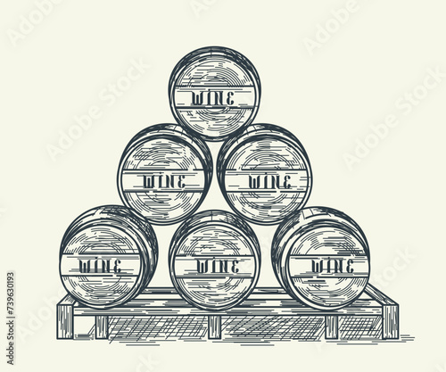 Elegant vector sketch featuring six wine barrels. This illustration captures the rustic allure of wine-making, showcasing detailed pencil strokes for a classic and timeless aesthetic