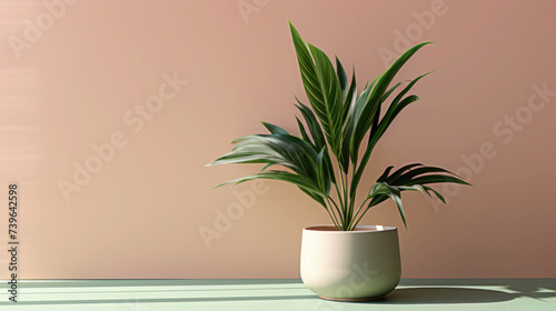 Vase with various potted plants, including a tree, succulent, and bamboo, creating a green and nature-inspired home decoration