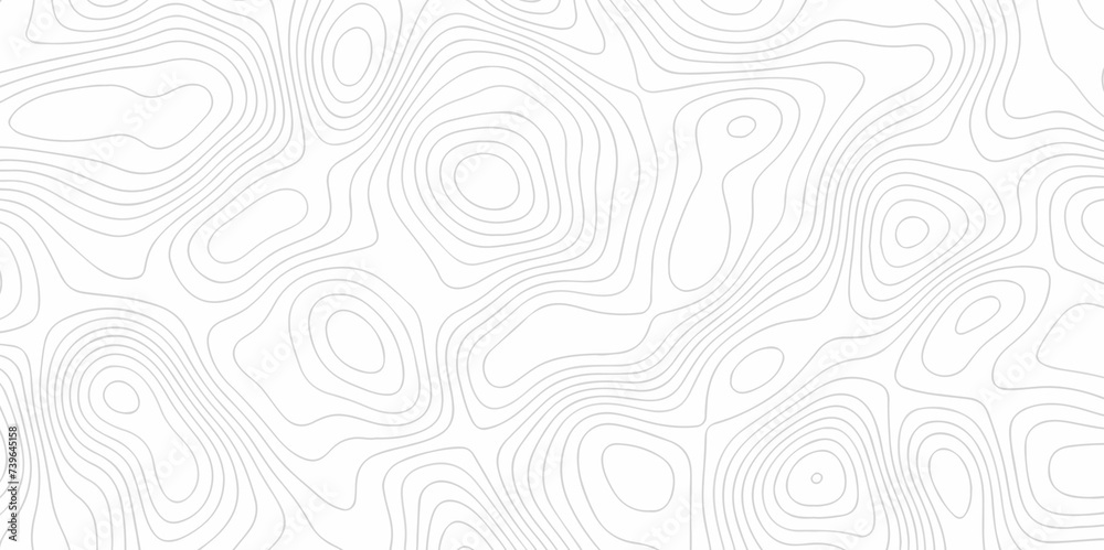 The pattern topo with lines Topographic contour lines vector map seamless pattern. Geographic mountain relief. Abstract lines background. Contour maps. Vector illustration, Topo contour map.
