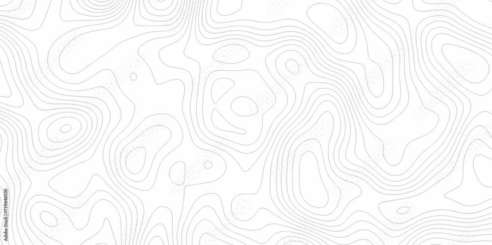 The stylized height of the topographic map in contour, lines. Topography and geography map grid abstract backdrop. creative cartography illustration. Black and white landscape geographic pattern. - obrazy, fototapety, plakaty 