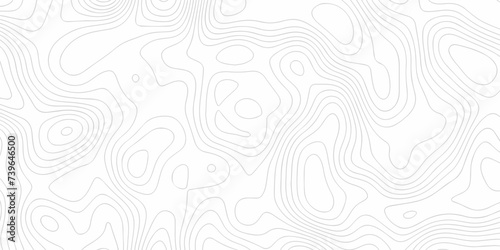 The stylized height of the topographic map in contour, lines. Topography and geography map grid abstract backdrop. creative cartography illustration. Black and white landscape geographic pattern.