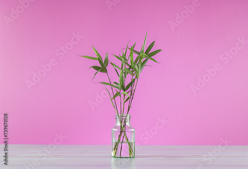 a pink background behind the vase in the style of con