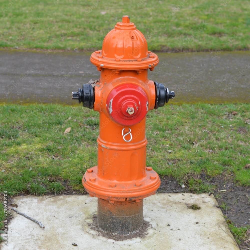 Red orange fire hydrant in the street green grass in the background high definition DSLR photo