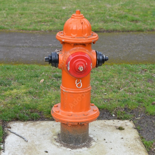 Red orange fire hydrant in the street green grass in the background high definition DSLR photo