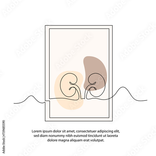 One line kidney human organ poster drawing with frame. 