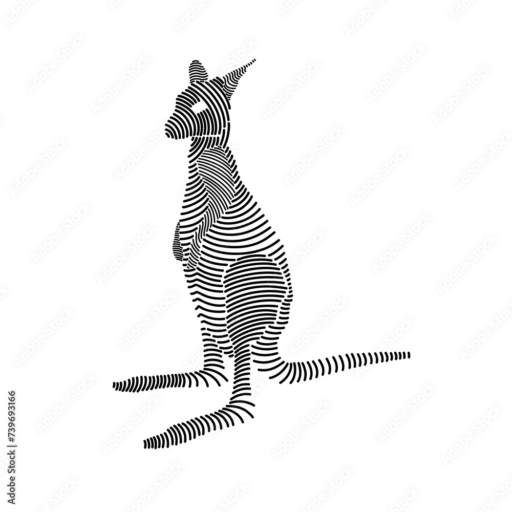 Fototapeta premium Simple line art illustration of a kangaroo 2