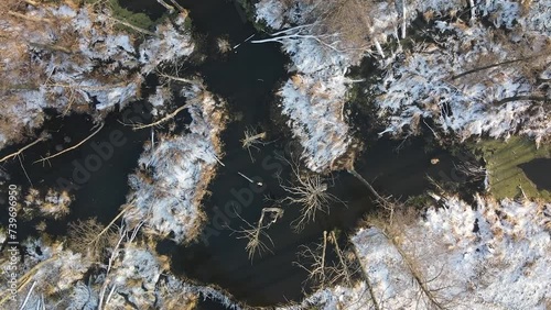 Aerial vertical ascending shot of the marshlands covered with snow in winter photo