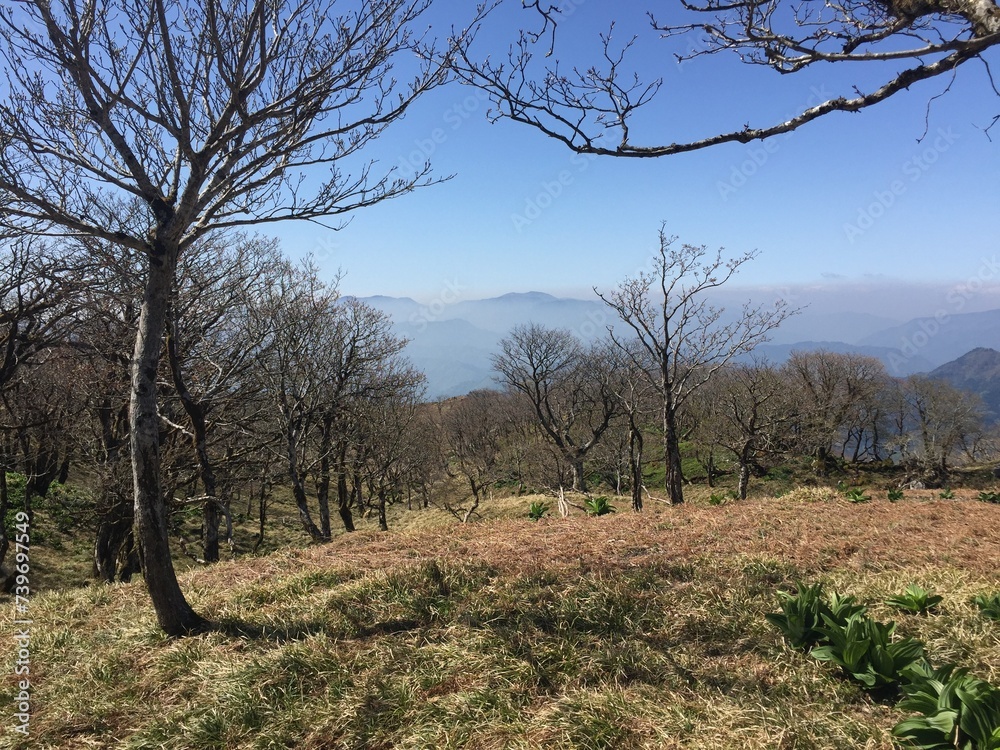 Obraz premium 晴れた春の日の御池岳の景色、風景