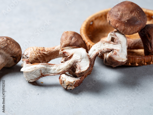 fresh pine mushrooms, organic food ingredients