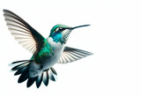 Bird with longest beak. Sword-billed hummingbird in white background ai generative