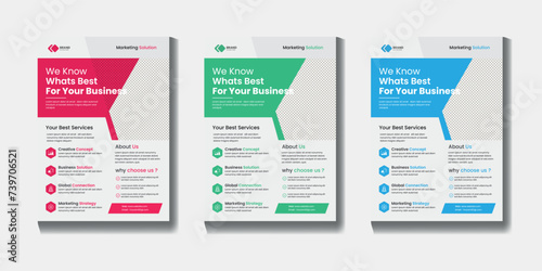 Professional business promotion ads flyer leaflet poster book cover illustration company flyer template