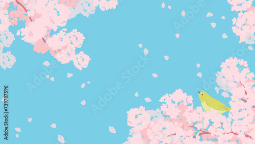 満開の桜とかわいいメジロのイラスト、春のイメージの背景素材