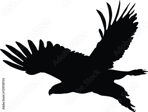Bald eagle silhouette. Bird flying silhouette illustration © Budypiasa
