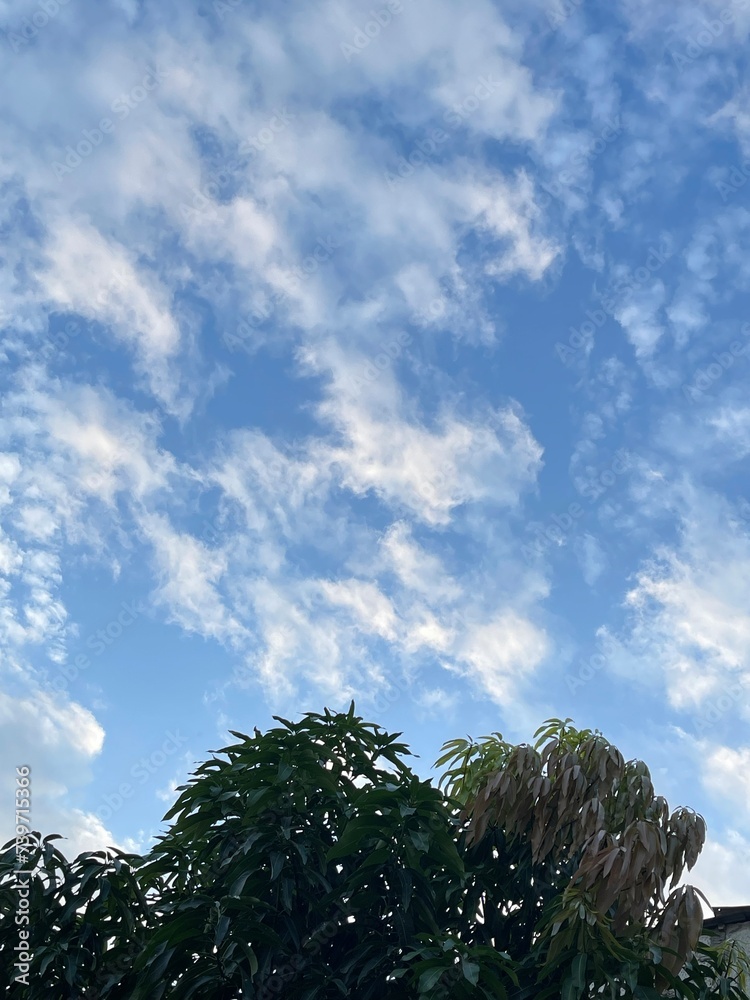 Fototapeta premium Cielo