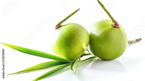 Fresh coconuts with green leaves on a white background