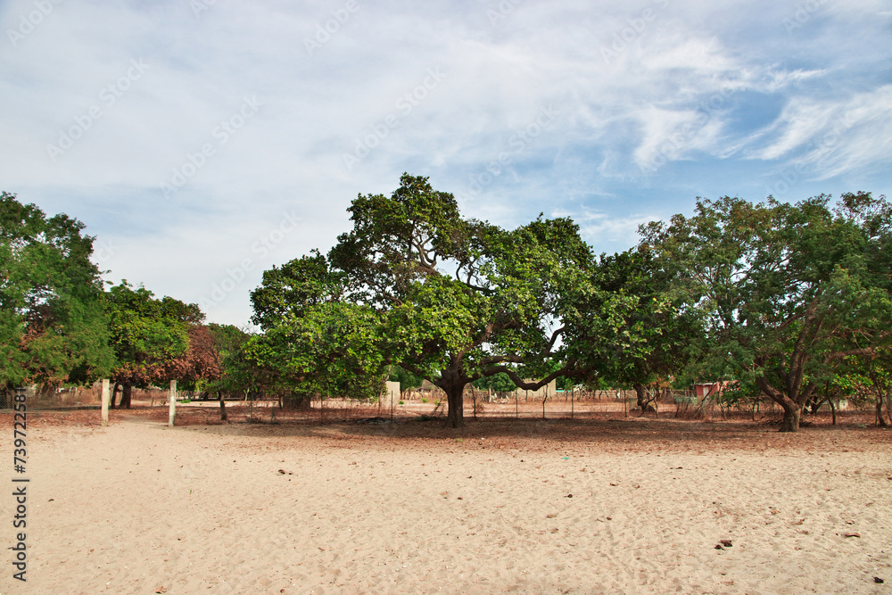 Sipo village close Toubacouta in Senegal, West Africa