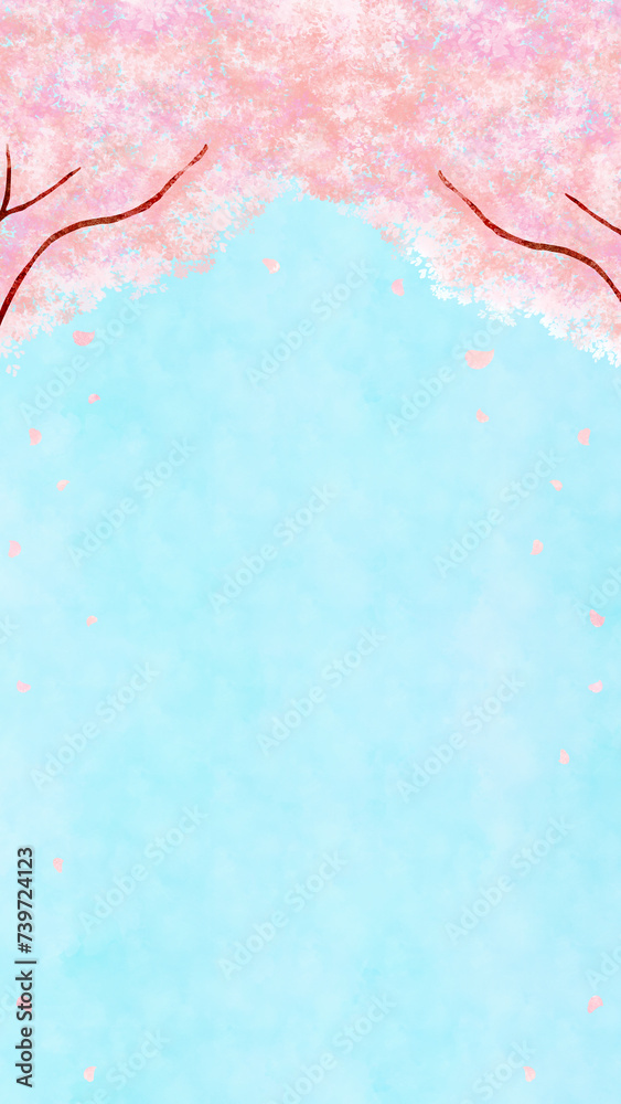Fototapeta premium Cherry blossom or sakura tree on blue sky with copy space backgrounds