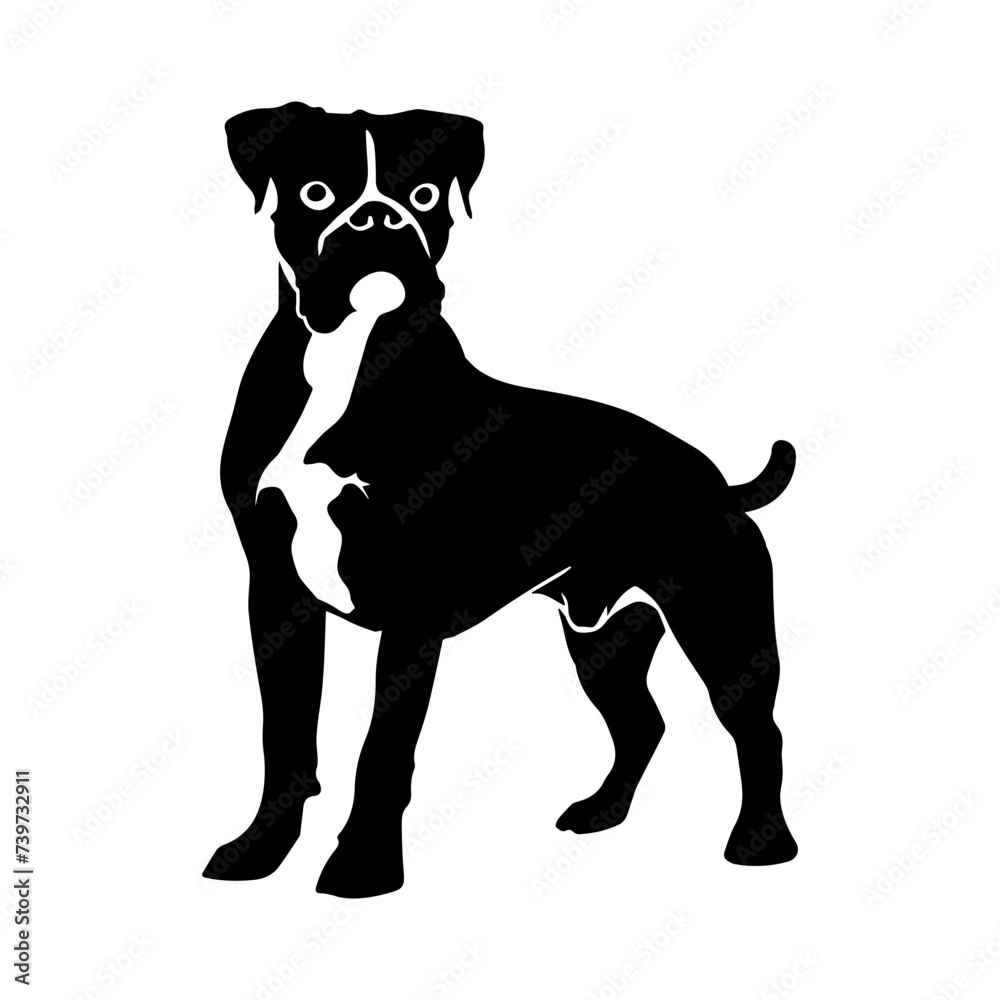 Silhouette of a Boxer dog standing
