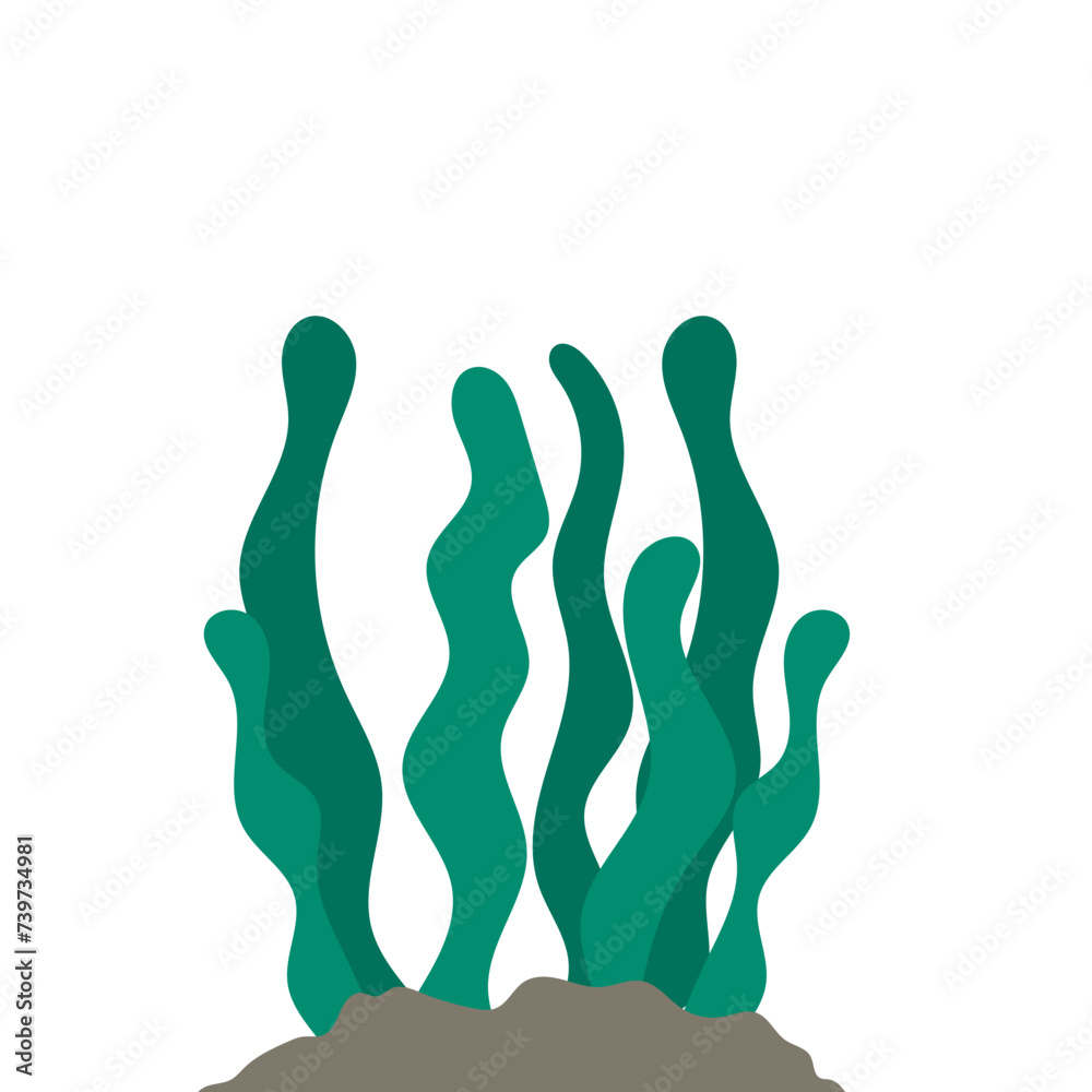 Flat Seawed Illustration Flat Seawed Illustration