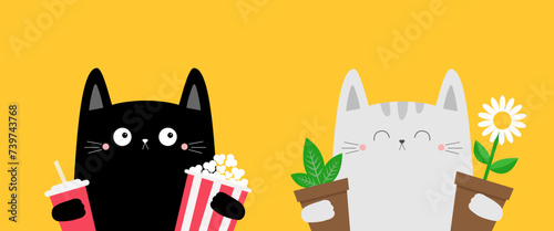 Cat kitten kitty set holding popcorn box, soda glass, daisy chamomile, green plant. Flower pot. Camomile bouquet. Happy Valentines Day. Cute cartoon kawaii funny animal. Flat design Yellow background.