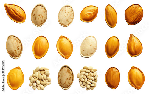 Assorted Nuts Arranged. A collection of various types of nuts, including almonds, walnuts, and pecans, meticulously arranged. on a White or Clear Surface PNG Transparent Background.