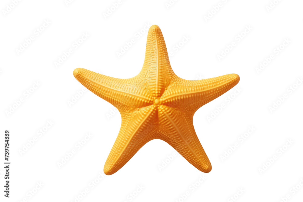 A vibrant yellow starfish rests. on a White or Clear Surface PNG Transparent Background. A vibrant yellow starfish rests. on a White or Clear Surface PNG Transparent Background.