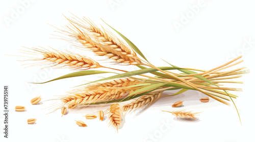 Bunch of wheat on white background. #739755141