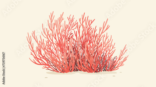 Coral. Underwater plant. Vector illustration.