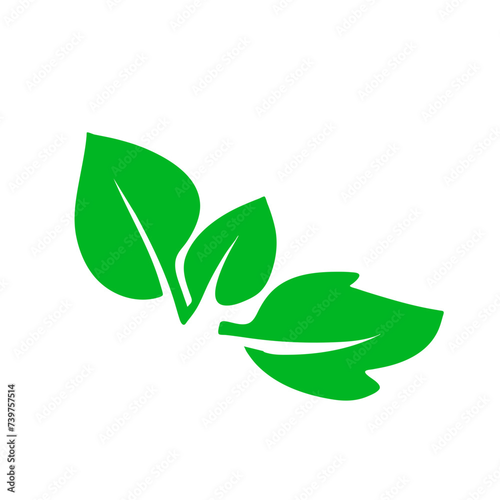 Leaf illustration vector Leaf illustration vector
