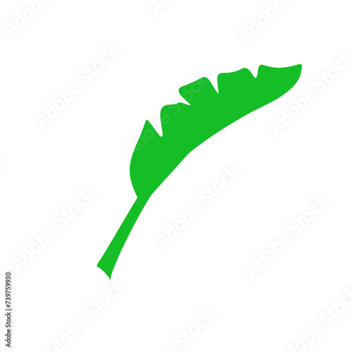 Tropical leaves illustration