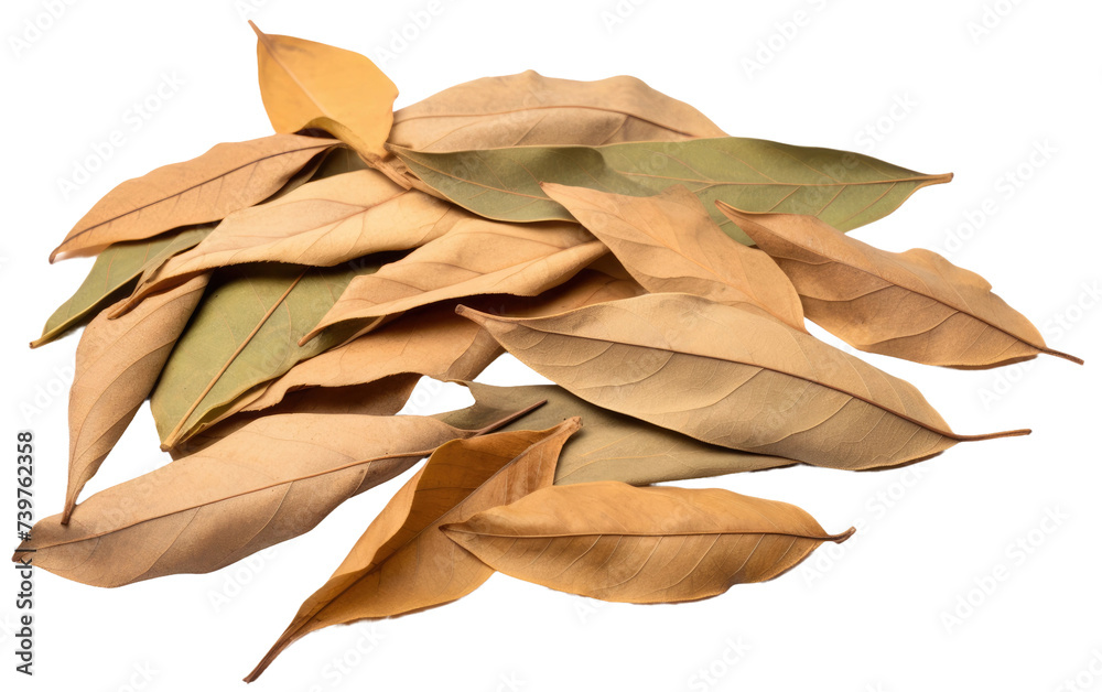 A photograph showcasing a pile of dried leaves arranged neatly. on a White or Clear Surface PNG Transparent Background. A photograph showcasing a pile of dried leaves arranged neatly. on a White or Clear Surface PNG Transparent Background.
