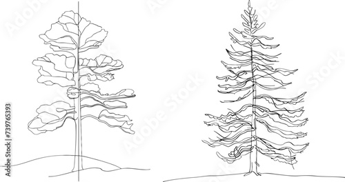 Pine tree continuous line drawing art