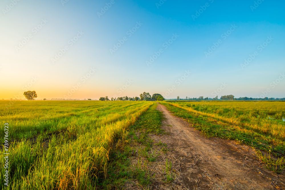 Agriculture in Egypt