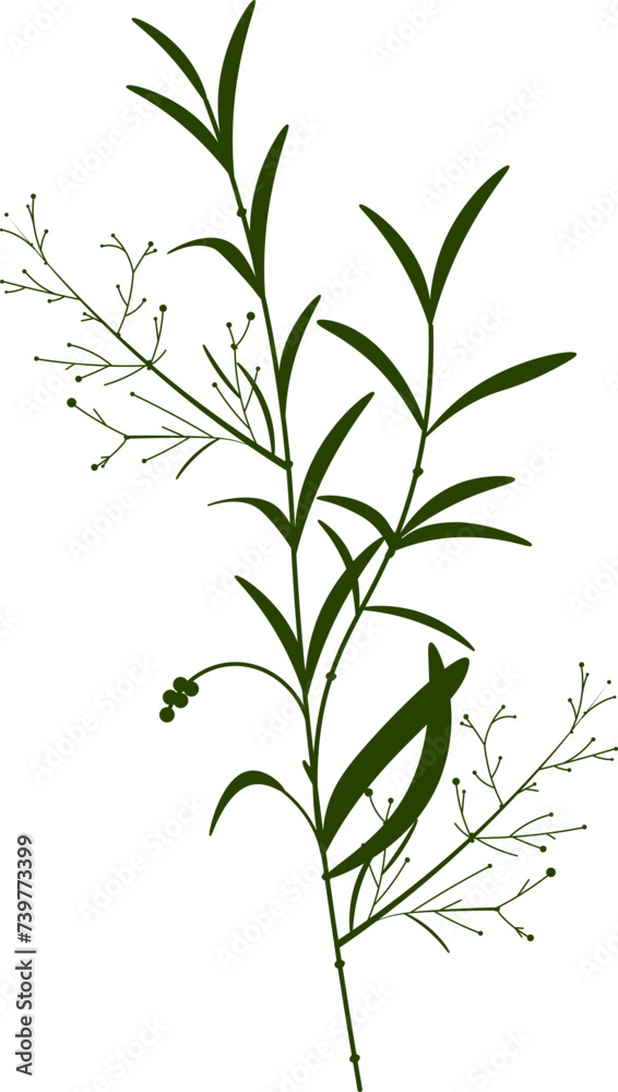 Botanical Branch Plant Botanical Branch Plant
