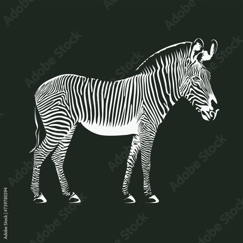 vector drawing of a zebra animal. suitable for logo or symbol