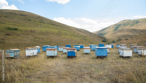 Many beehives at the nature.