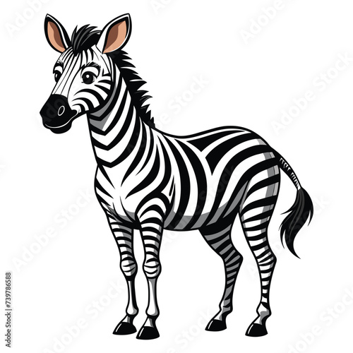 Vector of a zebra standing on white.