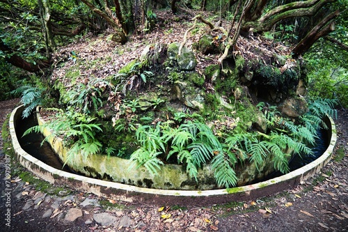 Levada do Furado, Madeira, Portugal, Europe.	 photo