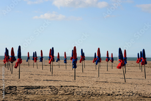 Les jolis parasols de Deauville photo