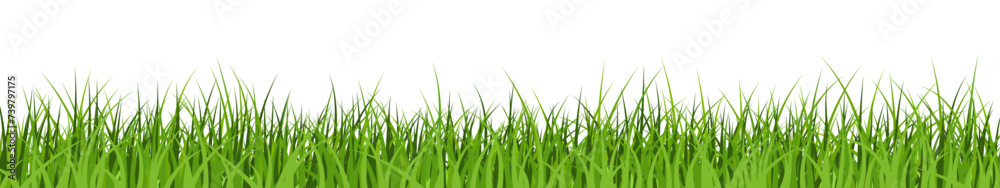 Green grass border. Lawn banner. Meadow background. - obrazy, fototapety, plakaty 