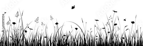 Meadow border. Grass silhouette with flowers, herbs, bees. Spring, summer, Easter or ecology banner photo