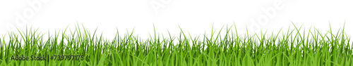 Green grass border on isolated background. Lawn banner. Meadow background.