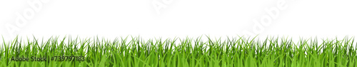 Realistic green grass banner. Lawn or meadow vector border