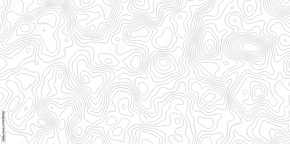 White wave paper curved reliefs abstract background black and white, Background of the topographic line map. Topographic map patterns abstract white topography vector background. White wave paper curved reliefs abstract background black and white, Background of the topographic line map. Topographic map patterns abstract white topography vector background.