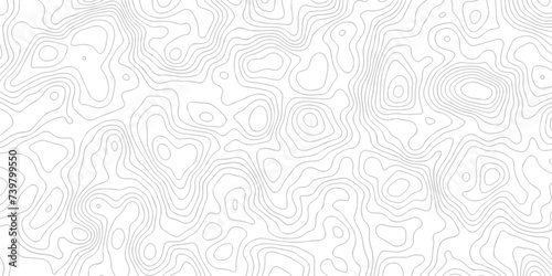 White wave paper curved reliefs abstract background black and white, Background of the topographic line map. Topographic map patterns abstract white topography vector background.