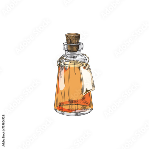 Hand drawn glass bottle with calendula oil or tincture vector illustration.