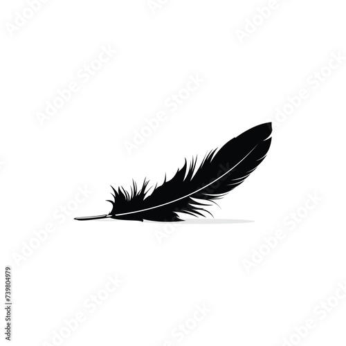 vector illustration black feather isolated on white background